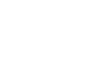 Custom Web Icon